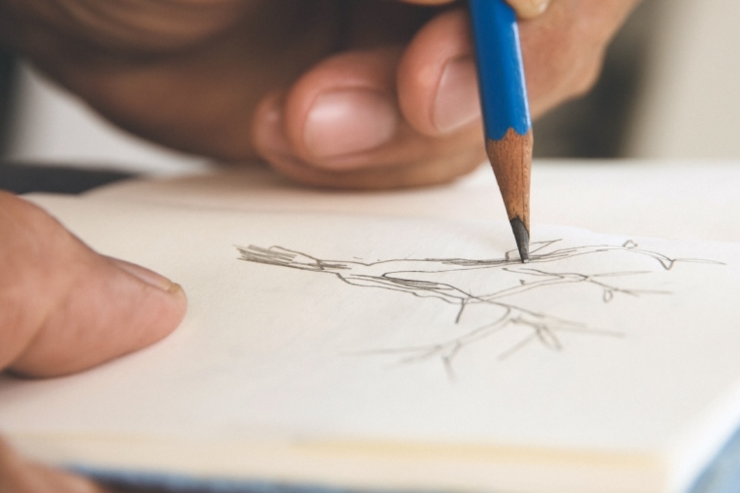 A closeup of a hand holding a pencil and sketching a tree branch in a notebook