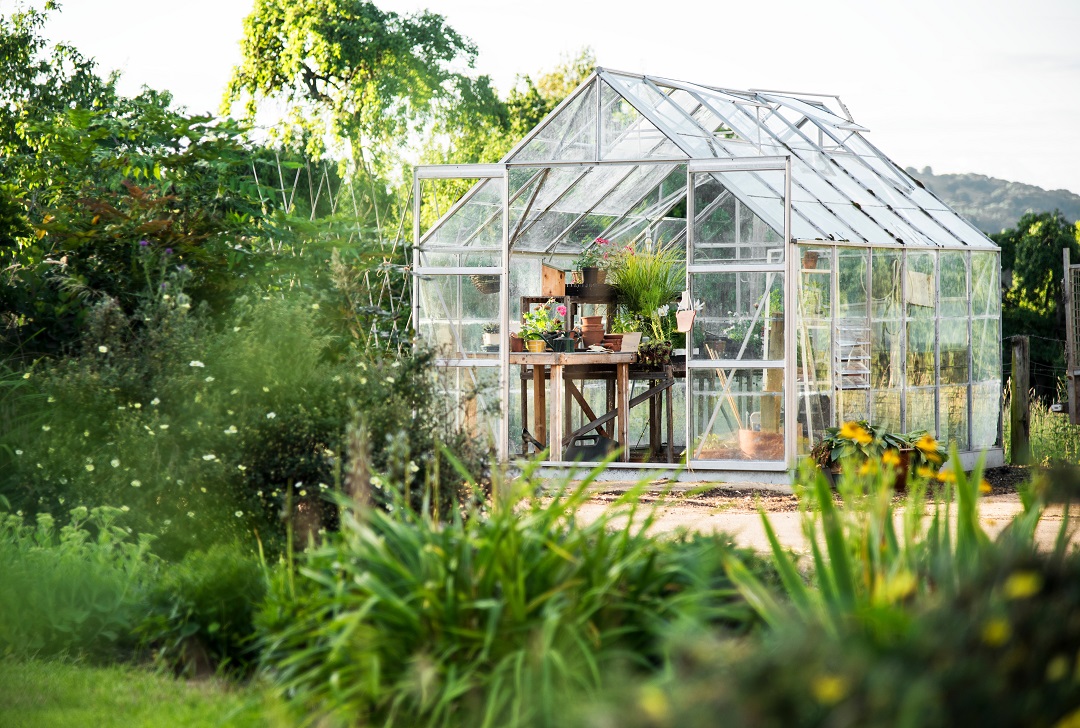 Image of greenhouse surrounded by trees, with flowers inside