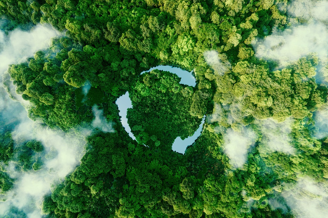 Overhead view of groves of trees with recycling arrows overlaid