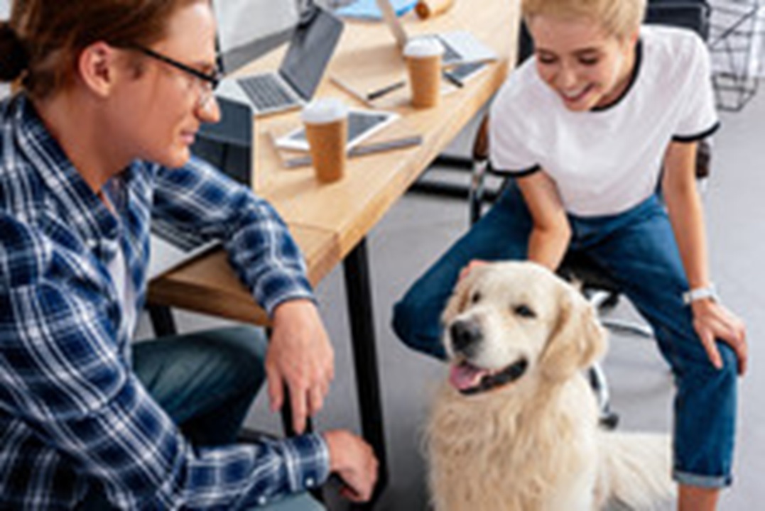 Image of a man, woman and dog in a classroom setting