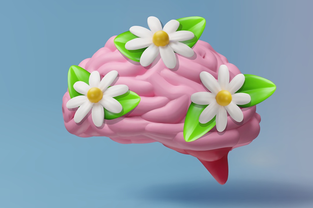 Image with blue background, a model of a brain in pink, with 3 daisy flowers placed on the brain. Illustrates the importance of taking care of your mental health