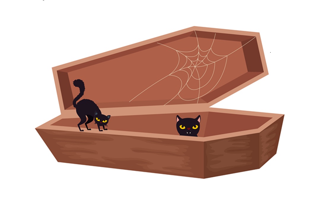 Image of brown coffin, open, with one cat inside and another cat walking along the edge of it