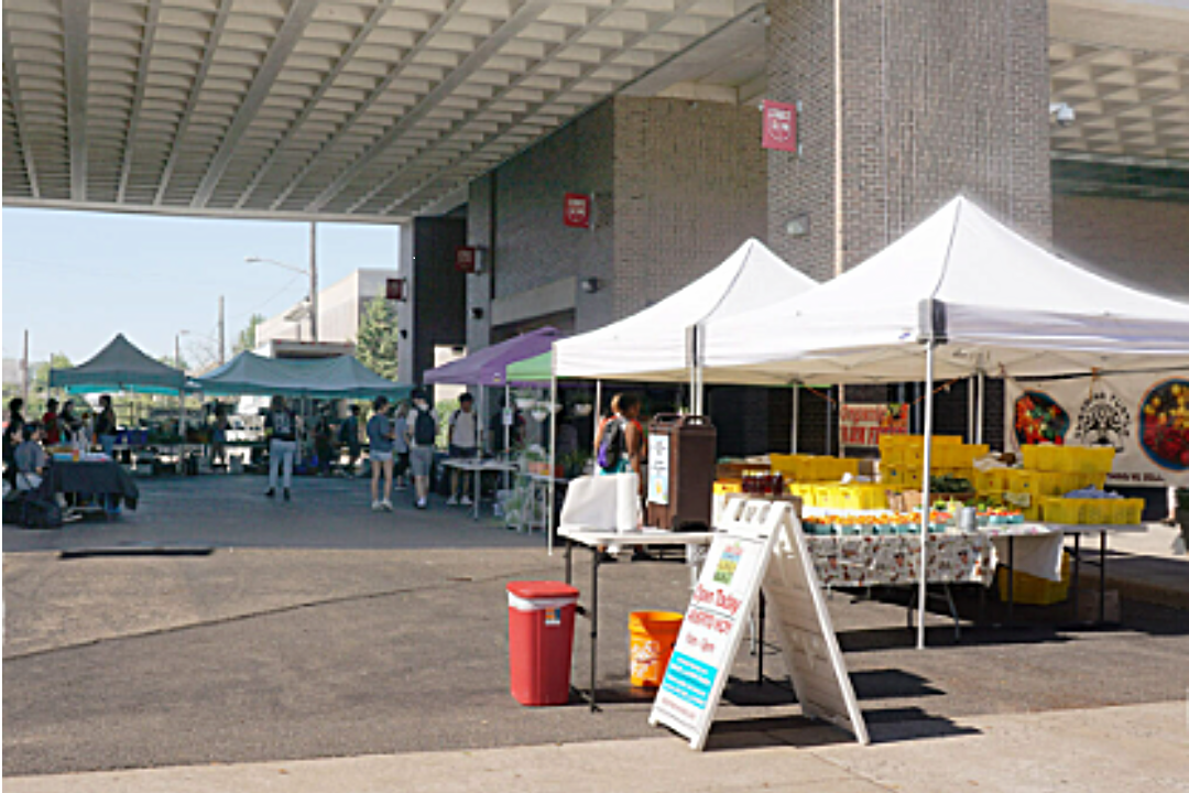 Image of farmers market setup outside of College Ave Student center, with white tents set up over tables of produce and signage for the market