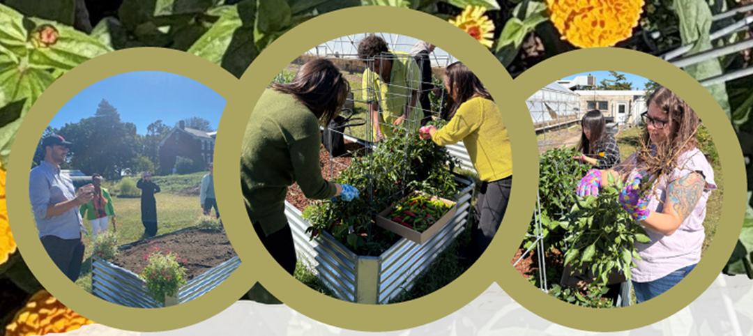 Three gold circles frame images of people working in gardens. They are working in fields and at raised beds, and wearing gardening gloves