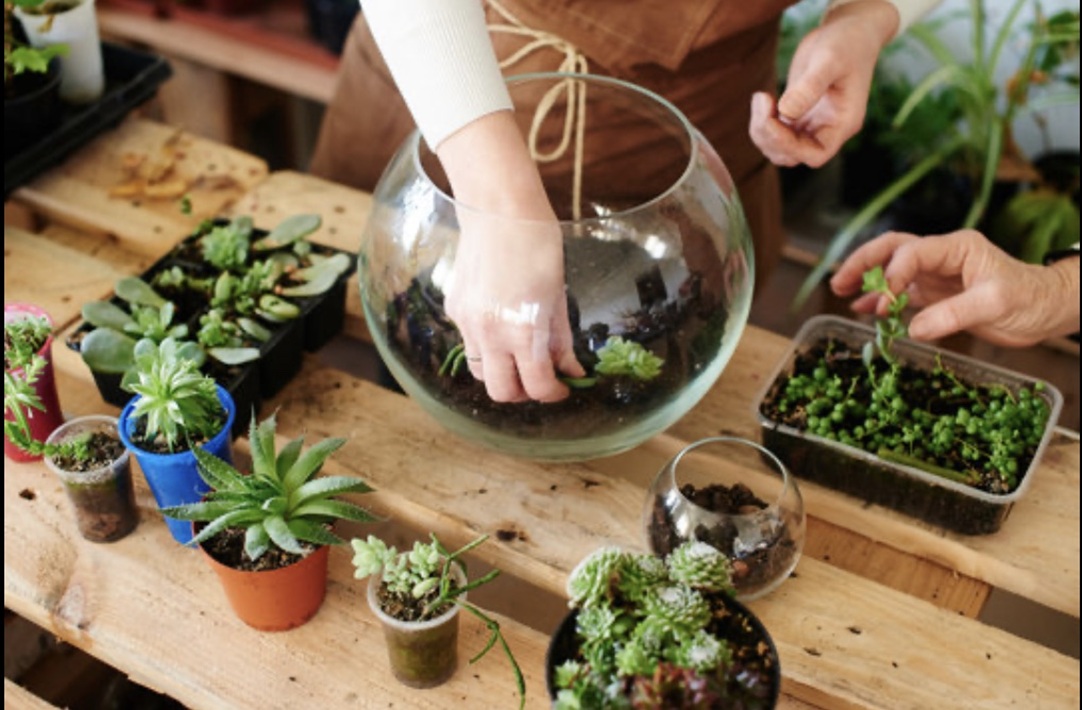 Photo of hands working with plants in soil, with one person making a terrarium by putting plants in soil inside of a glass sphere, with a rope attached to it for hanging