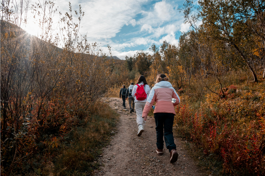 Photo of a small group hiking on a trail