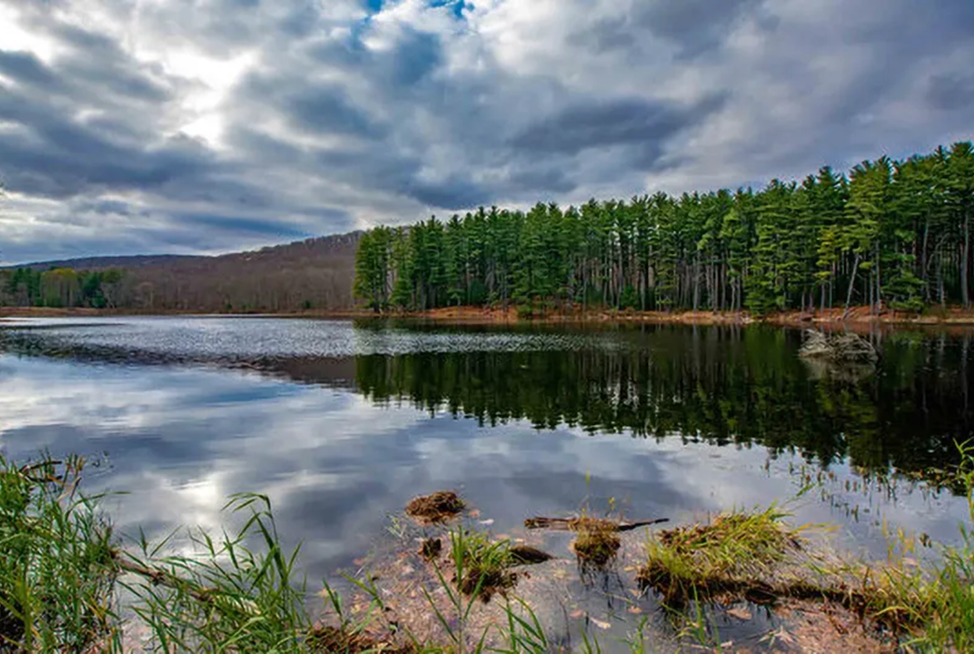 Photo of a lake in Harriman State Park, surrounded by trees, and with trees reflected in the water