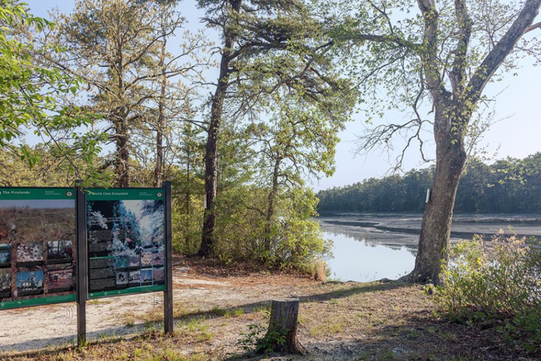 Photo of a trail head at the Pine Barrens, with a sign about the Pine Barrens and pine trees and a lake in the background.
