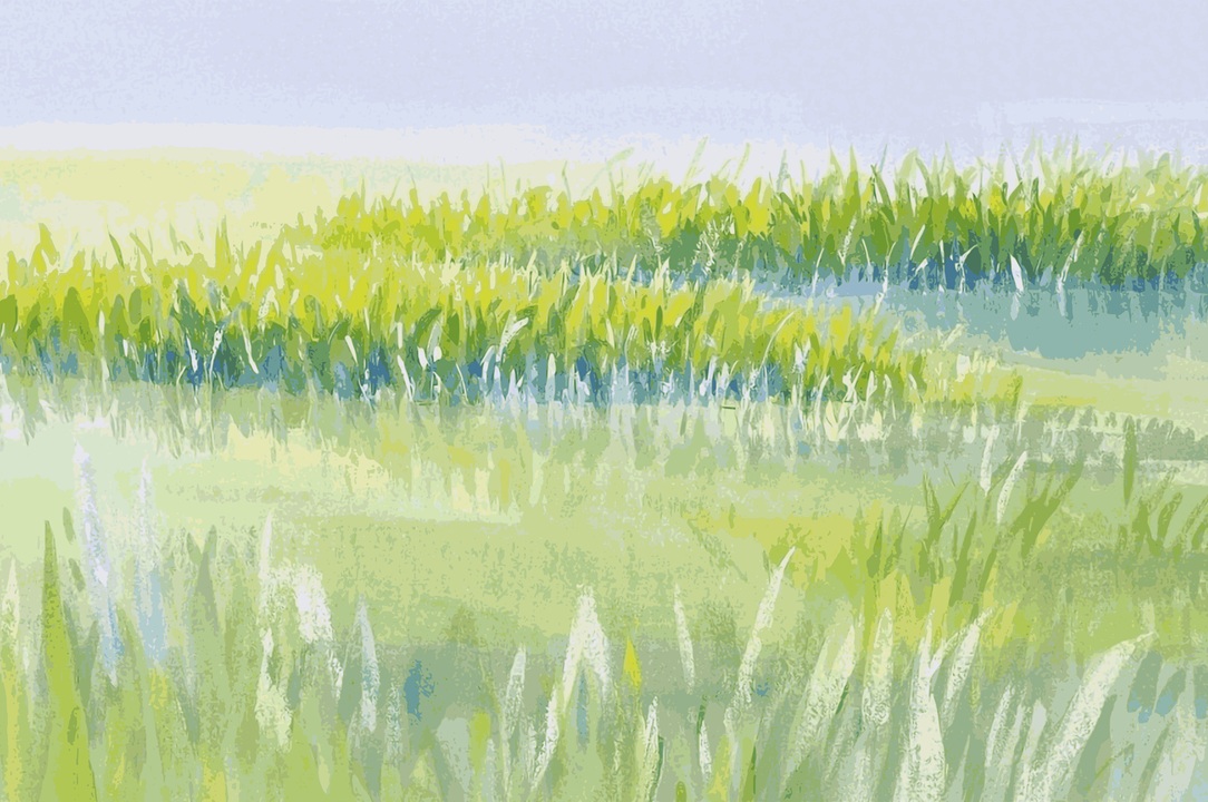 watercolor painting of a marsh, with green/yellow grasses around water