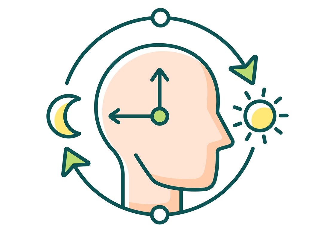 Profiile view of human head with hands of clock overlaid and an image of the sun and moon and arrows around the outside of the head representing circadian rhythm