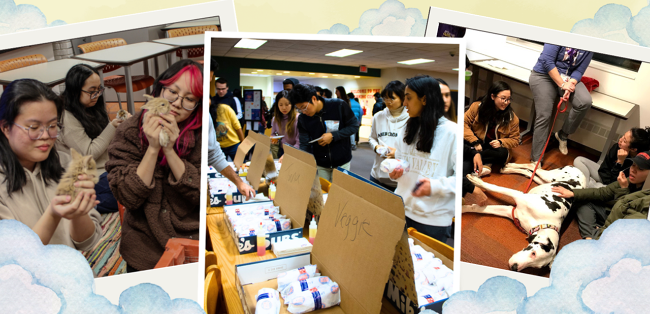 Three photos, side by side, showing students gathered for a study event with therapy animals and food provided. Students are petting kittens and a dog and selecting sandwiches.