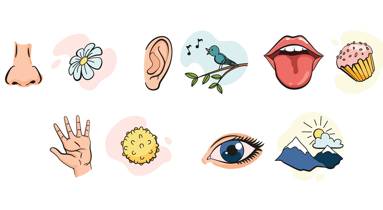 Cartoon image of parts of the body representing five senses along with an item one can experience with those senses